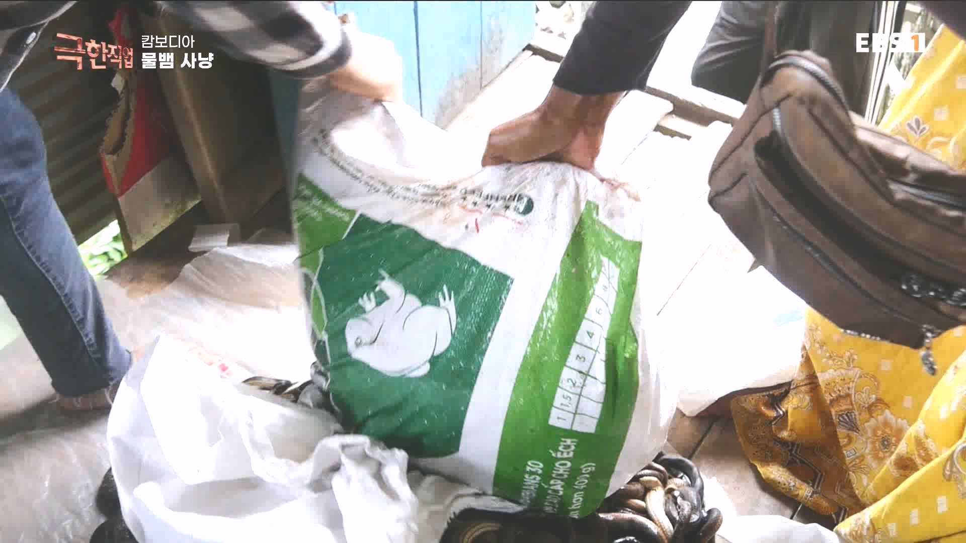 물뱀 사냥과 맹르로브숲의 게잡이 231021.mp4_20231025_211944.955.jpg