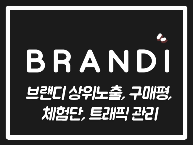  브랜디활성화 브랜디즐겨찾기 브랜디트래픽 브랜디후기 브랜디최적화관리 브랜디상품찜 브랜디광고 Brandi