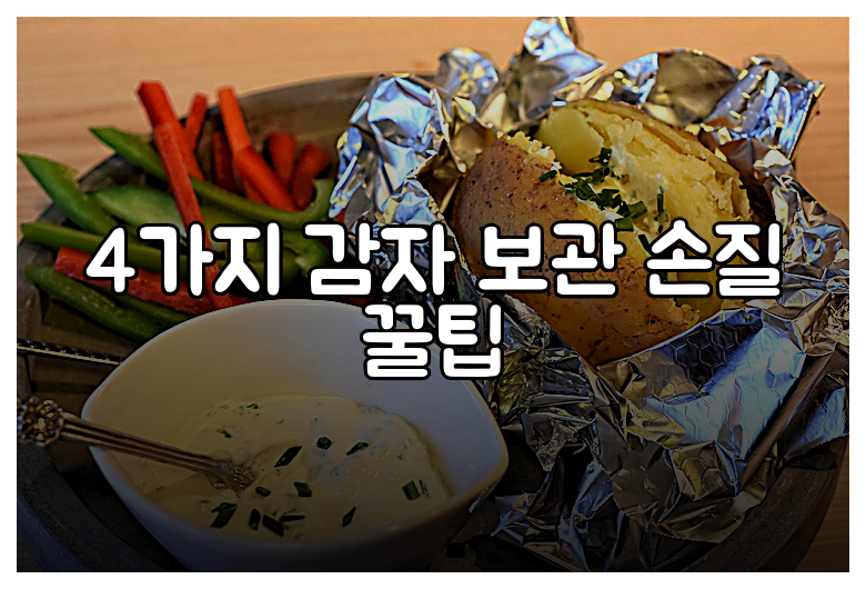 4가지 감자 보관  손질 꿀팁