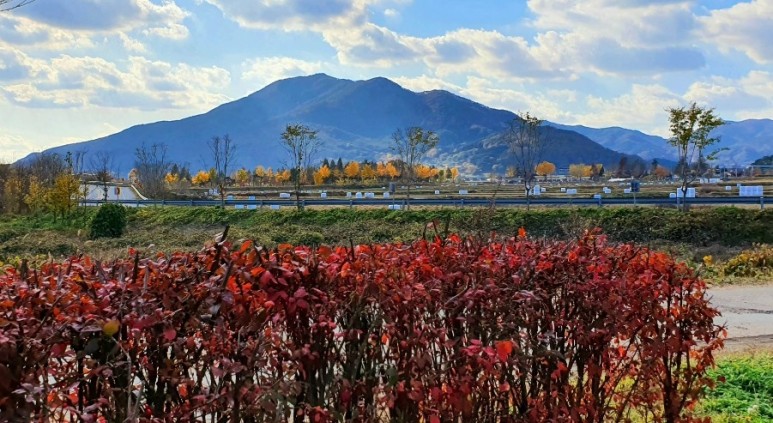- 수덕사, 명상치유림길과 수암산의 가을 예산으로 볼거리, 단풍여행 38