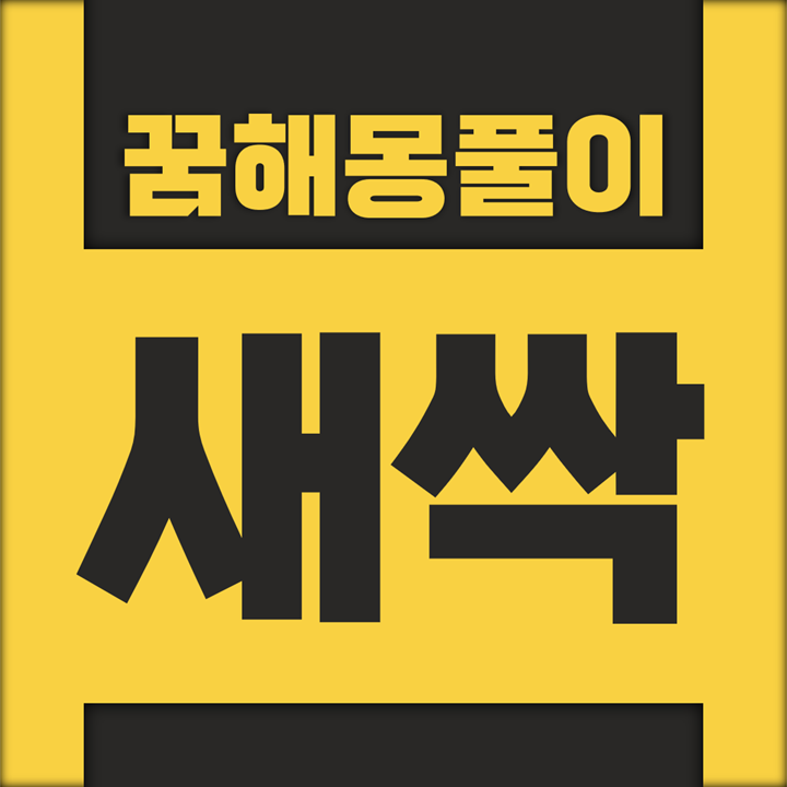  새싹에 대한 꿈해몽 풀이 모음