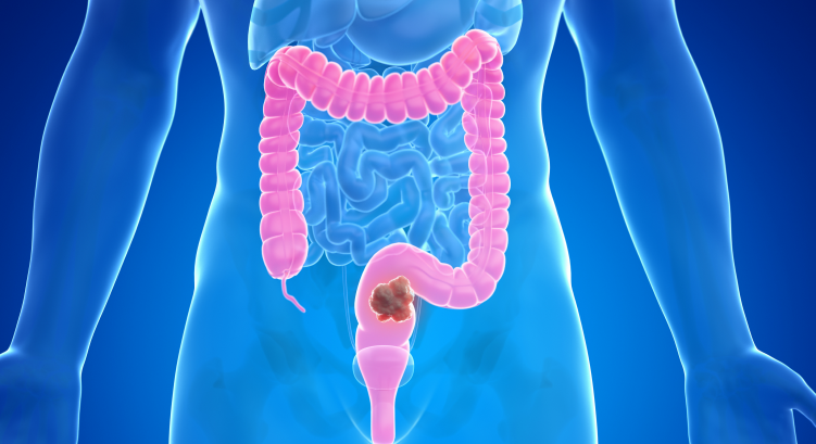 소화 , 금식과 소화