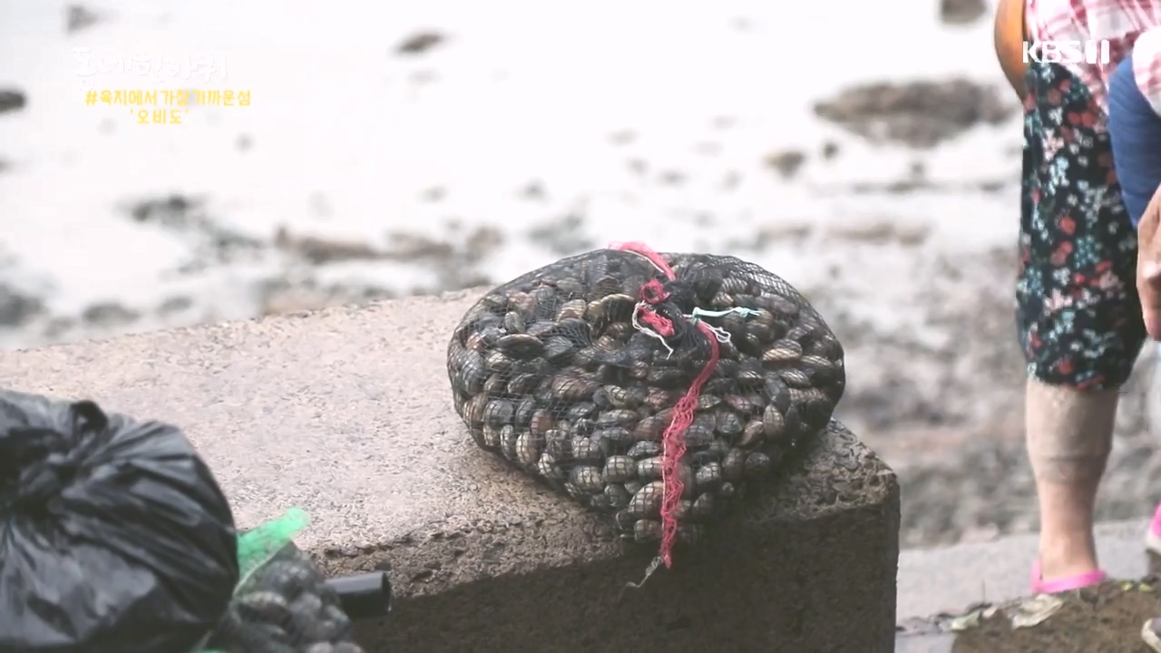 동네 한 바퀴.E243.231015p-NEXT.mp4_20231015_183724.529.jpg