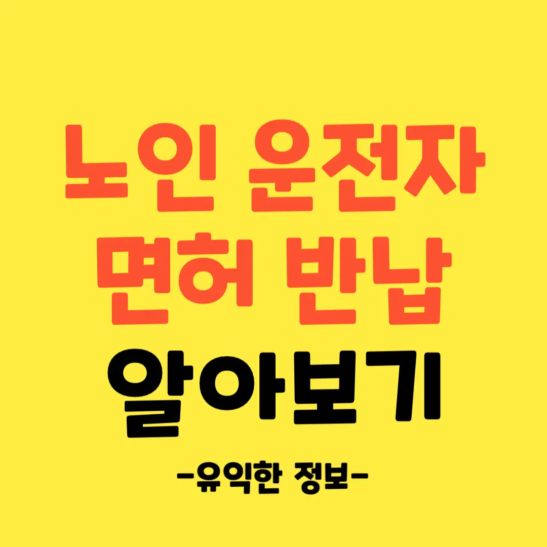 노인-운전자-면허-반납-방법-알아보기