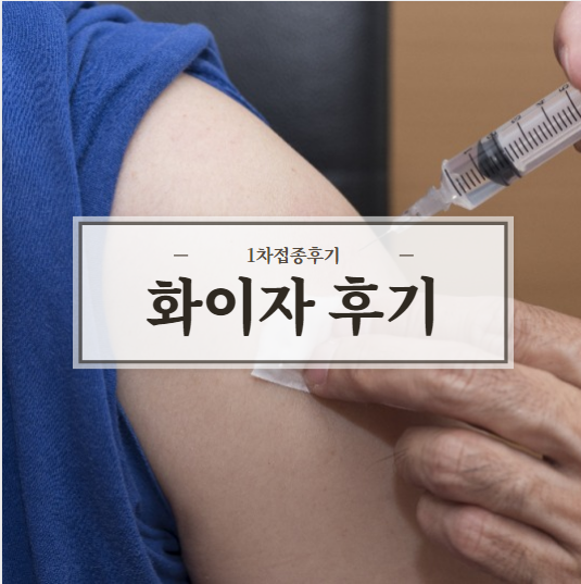  화이자 1차 후기 부작용 총정리
