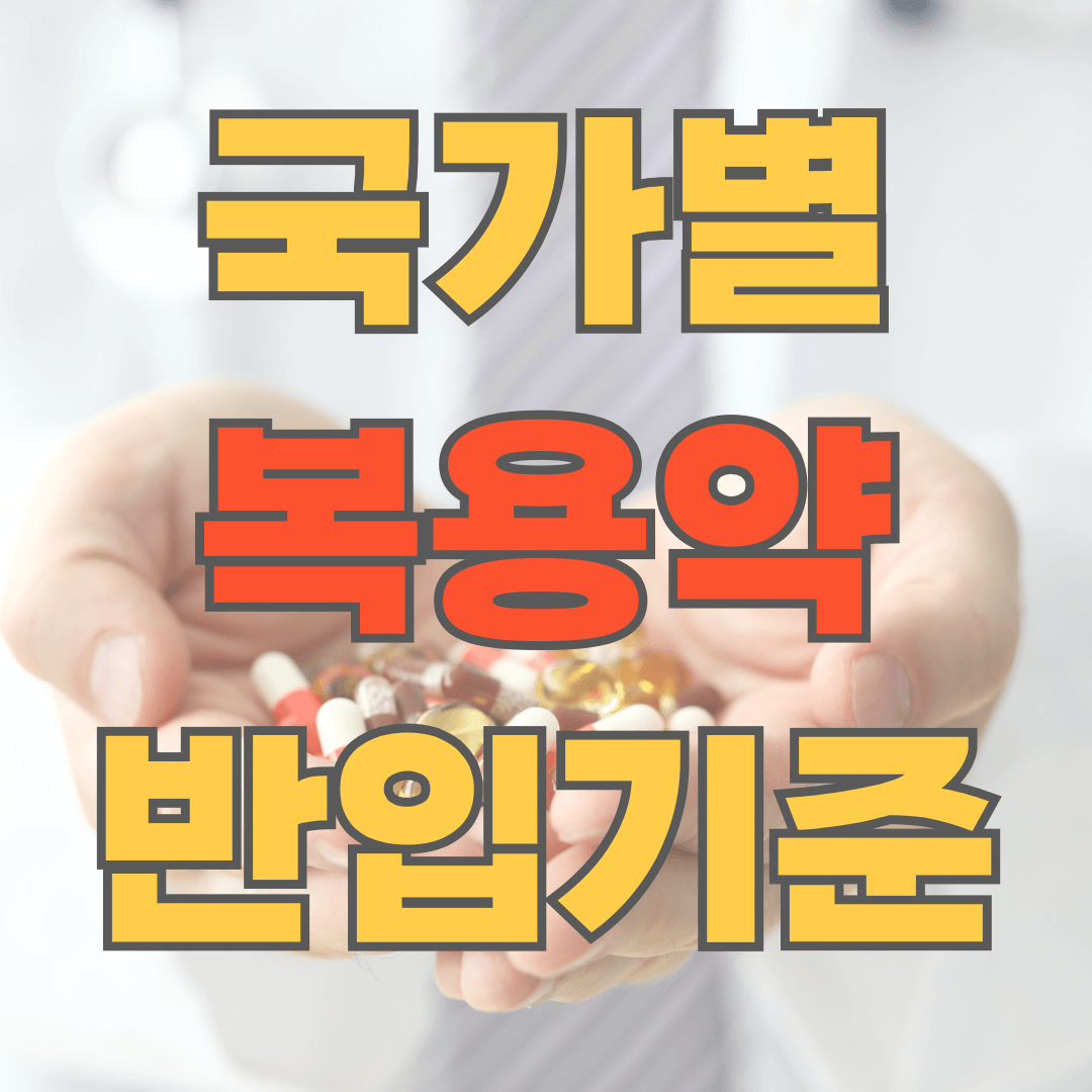 국가별 복용 약 반입 기준