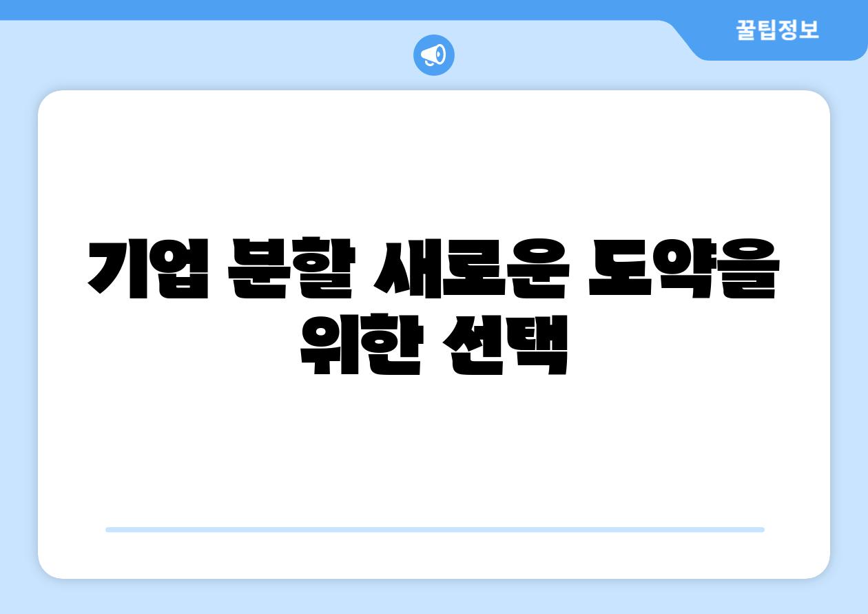 기업 분할 새로운 도약을 위한 선택