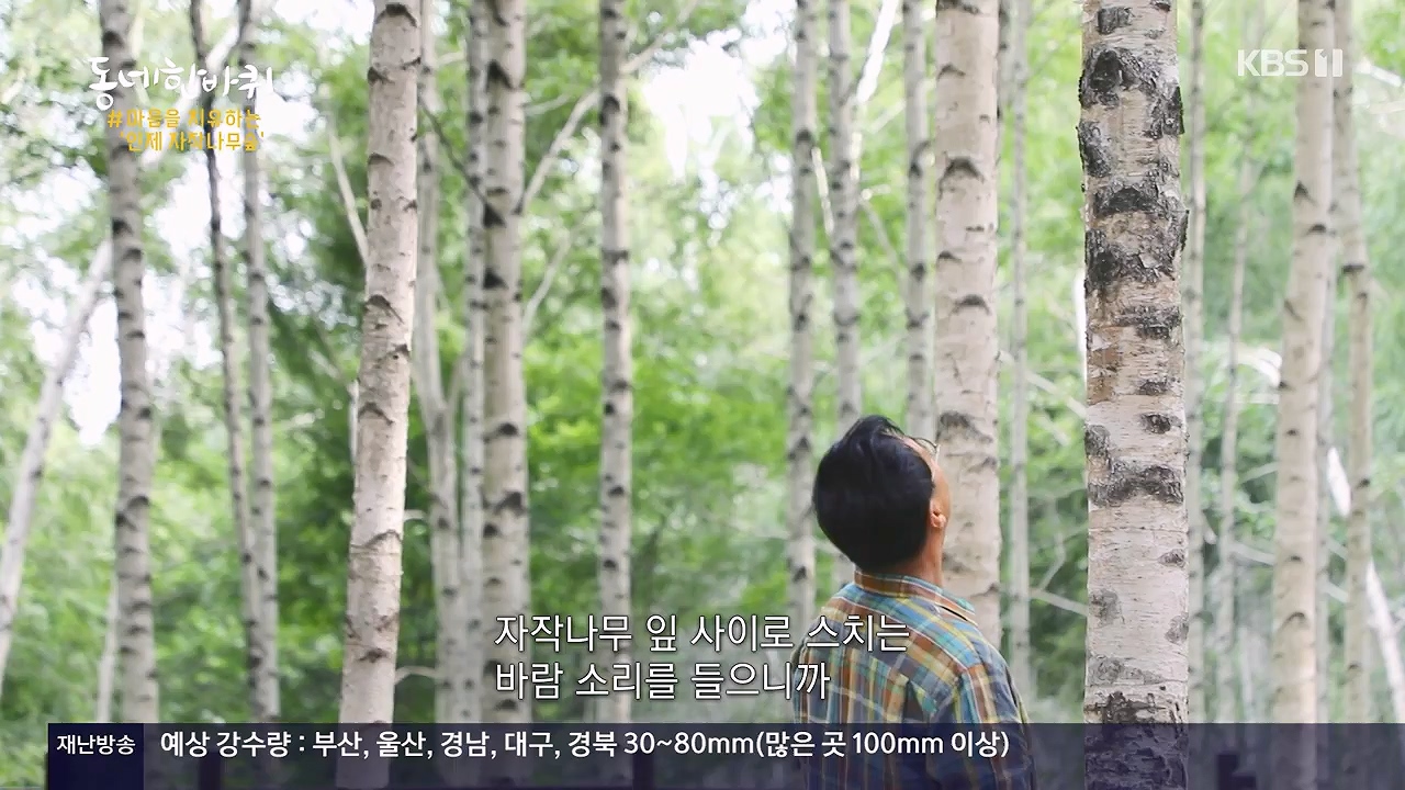 동네 한 바퀴.E280.240630p-NEXT.mp4_20240630_171128.613.jpg