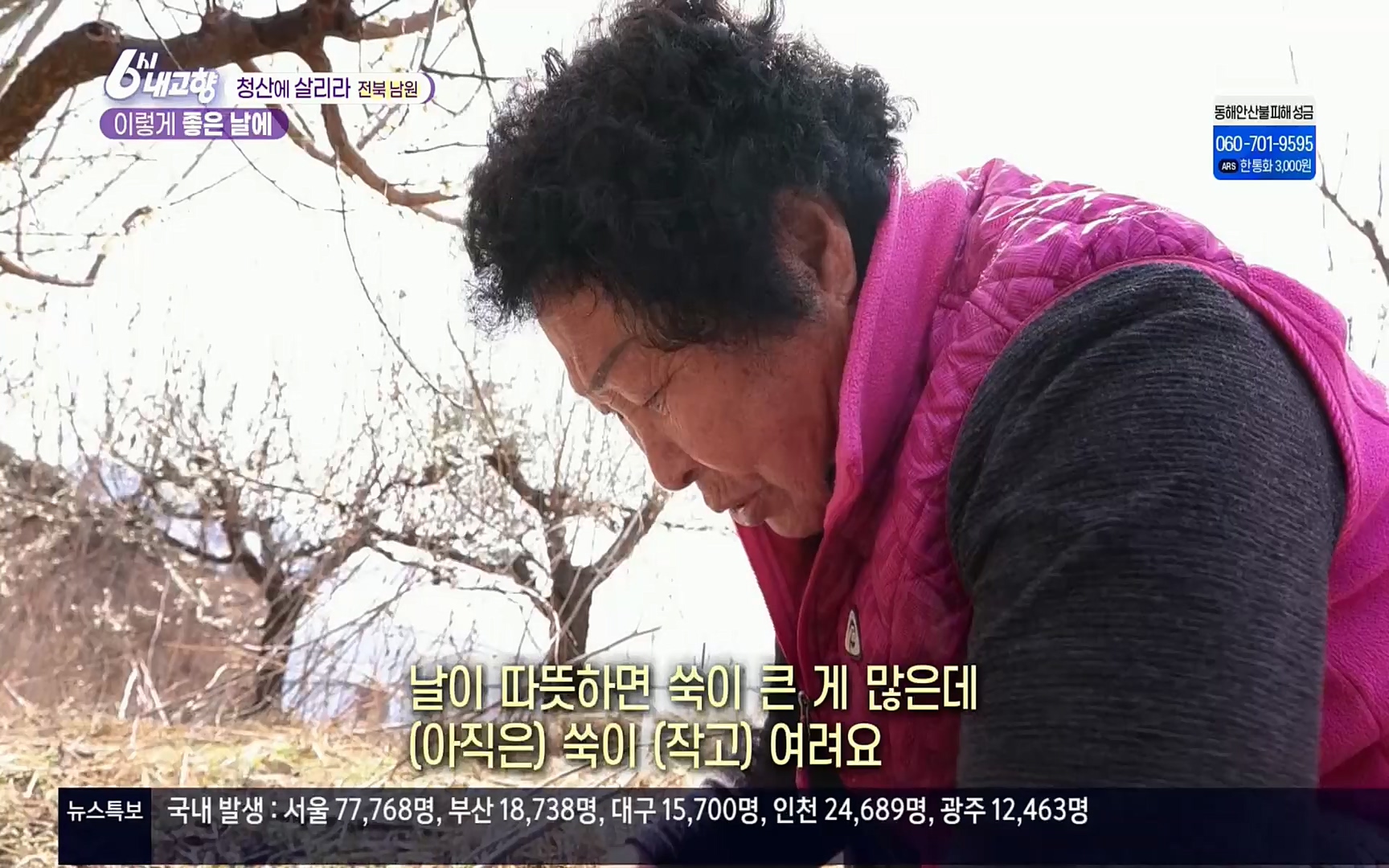 6시 내고향.E7496.220324p.H264-F1RST.mp4_20220328_181616.541.jpg