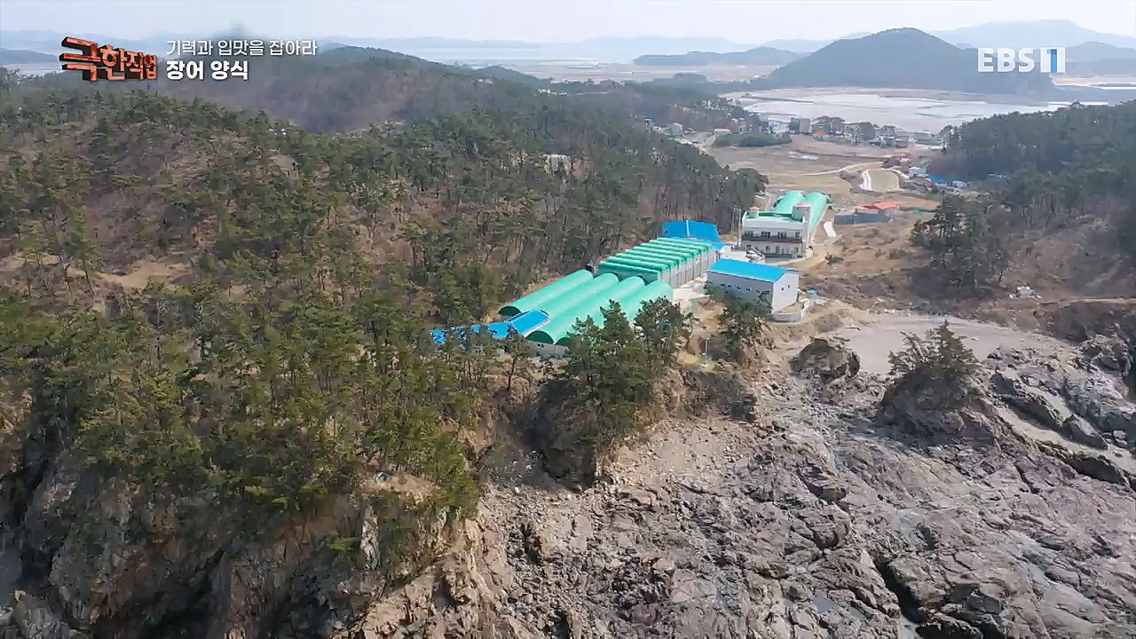 TV - 교육의 중심 EBS기력과 입맛을 잡아라 장어와 대게.mp4_20230313_183612.165.jpg