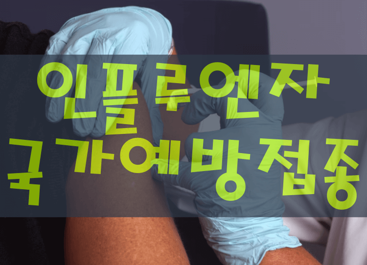 인플루엔자-국가예방접종에-대한-썸네일-사진