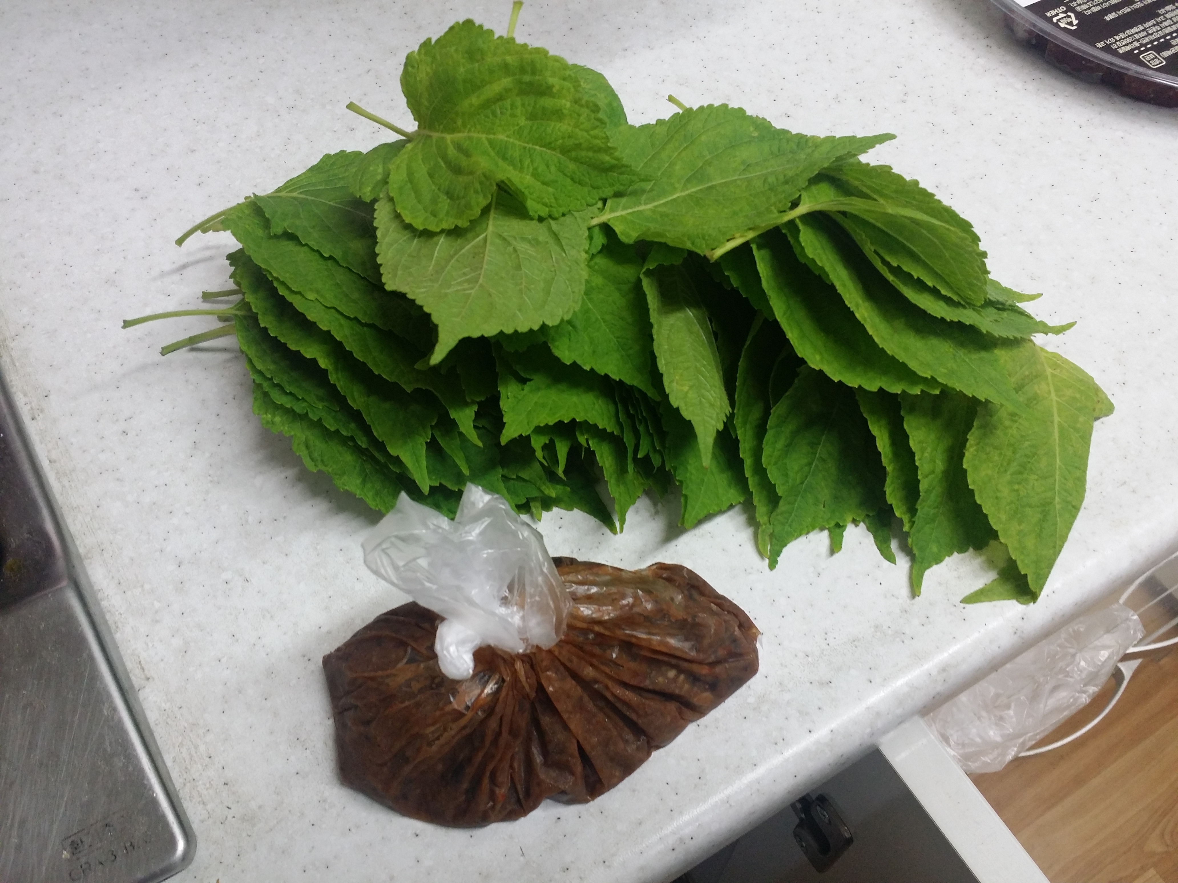  고소한쌈 견과깻잎장아찌