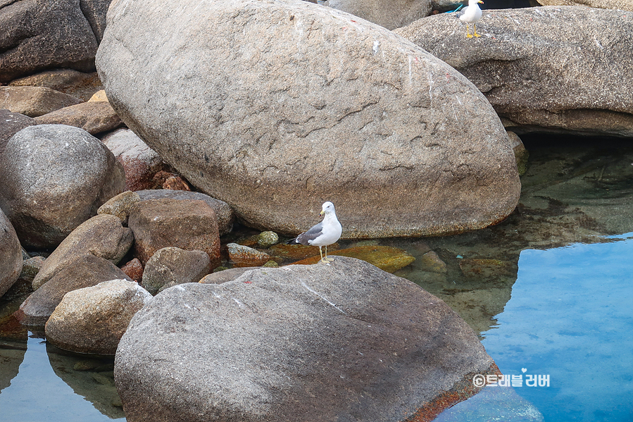 동해바다 볼거리 양양 휴휴암 12