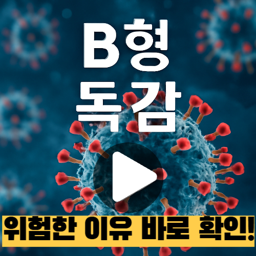 B형독감-증상