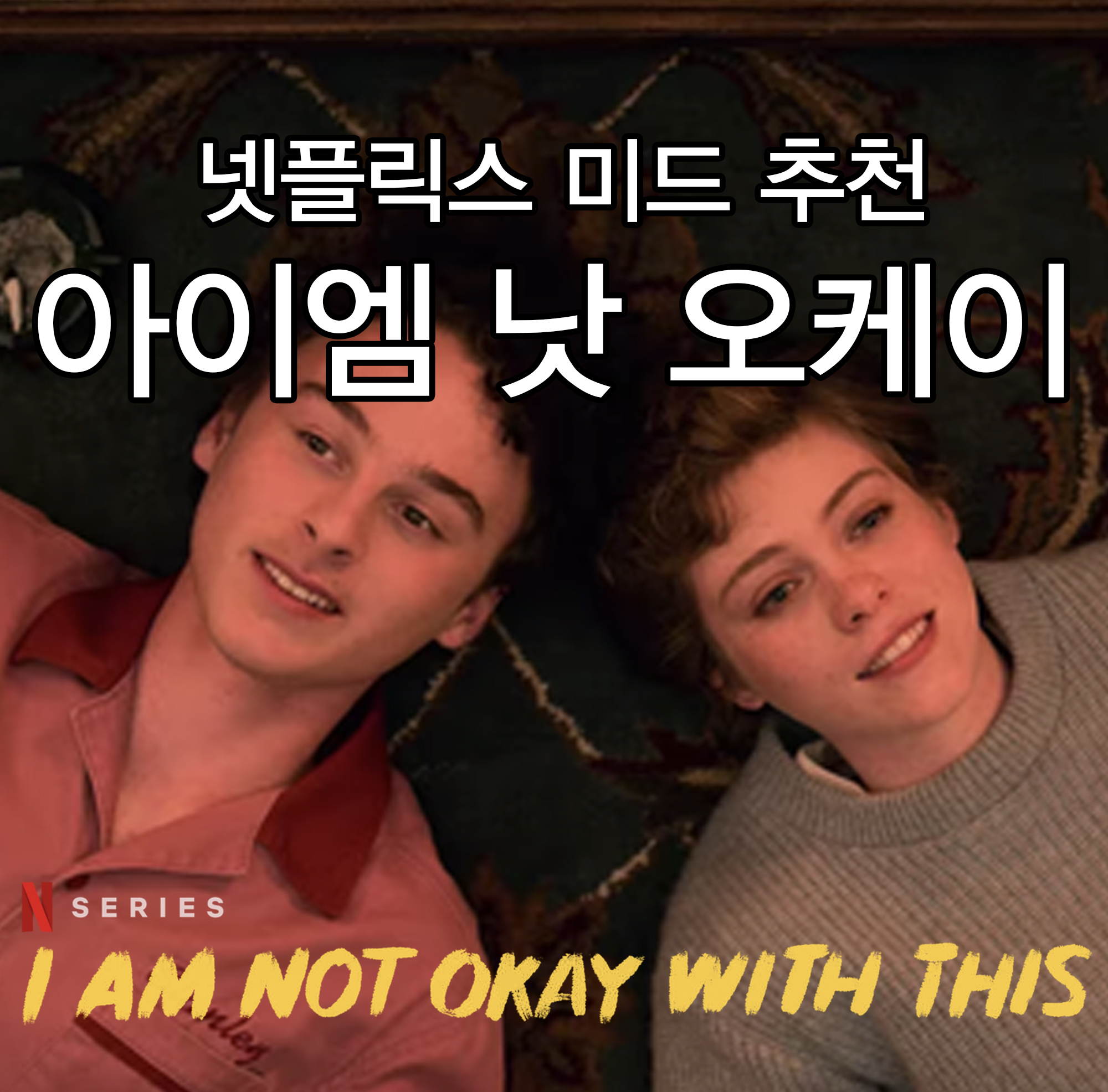 [넷플릭스 미드추천] 아이엠 낫 오케이 : 어떤 내용이길래??