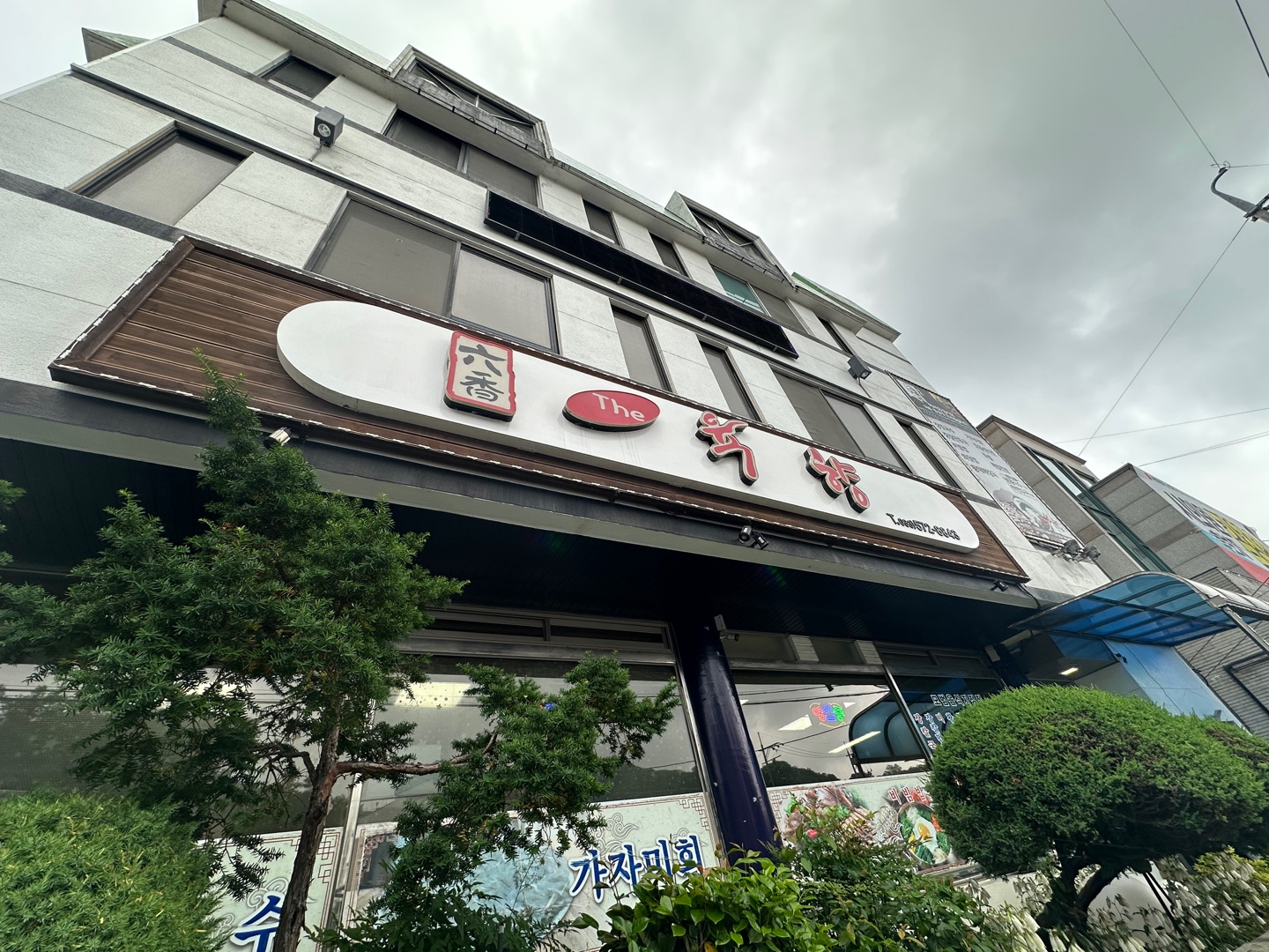 더육향 1