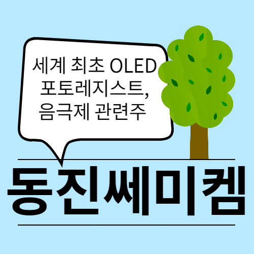  최초 OLED 포토레지스트 상용화, 실리콘 음극재 동진쎄미켐