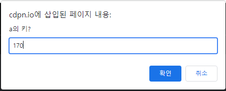  [JS] 명시적 형변환에 대하여