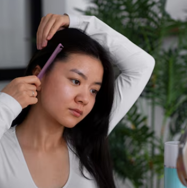 차가버섯 효능