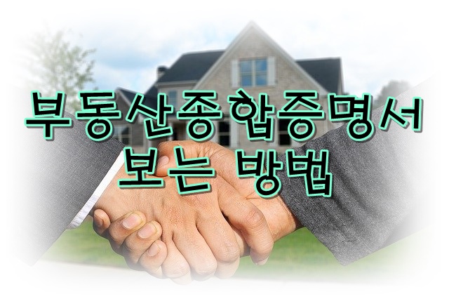  복잡한 서류를 하나로, 부동산종합증명서 보는 방법