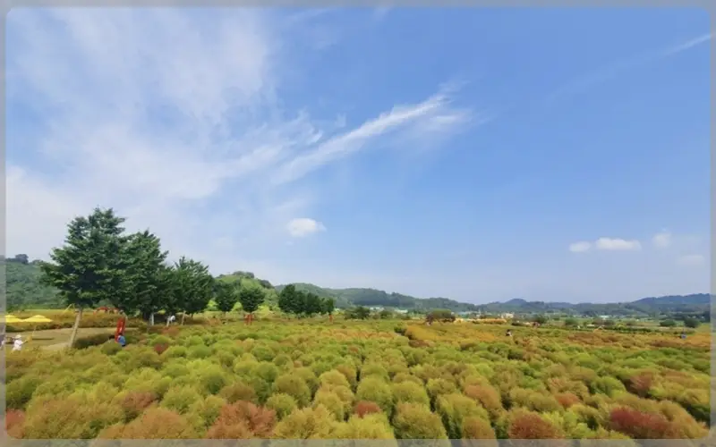 임진강 댑싸리공원_8