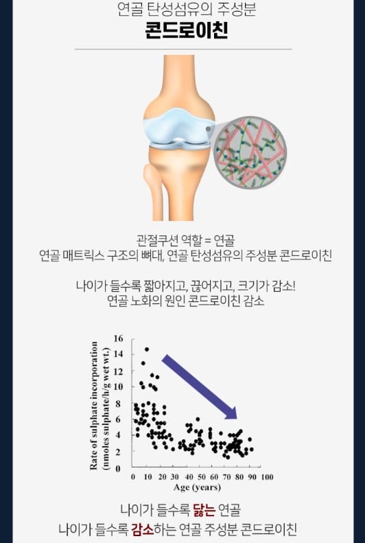 콘드로이친1200 설명