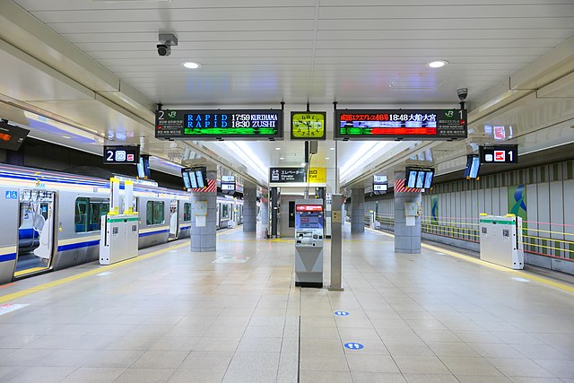 Narita Terminal 1, Narita Express