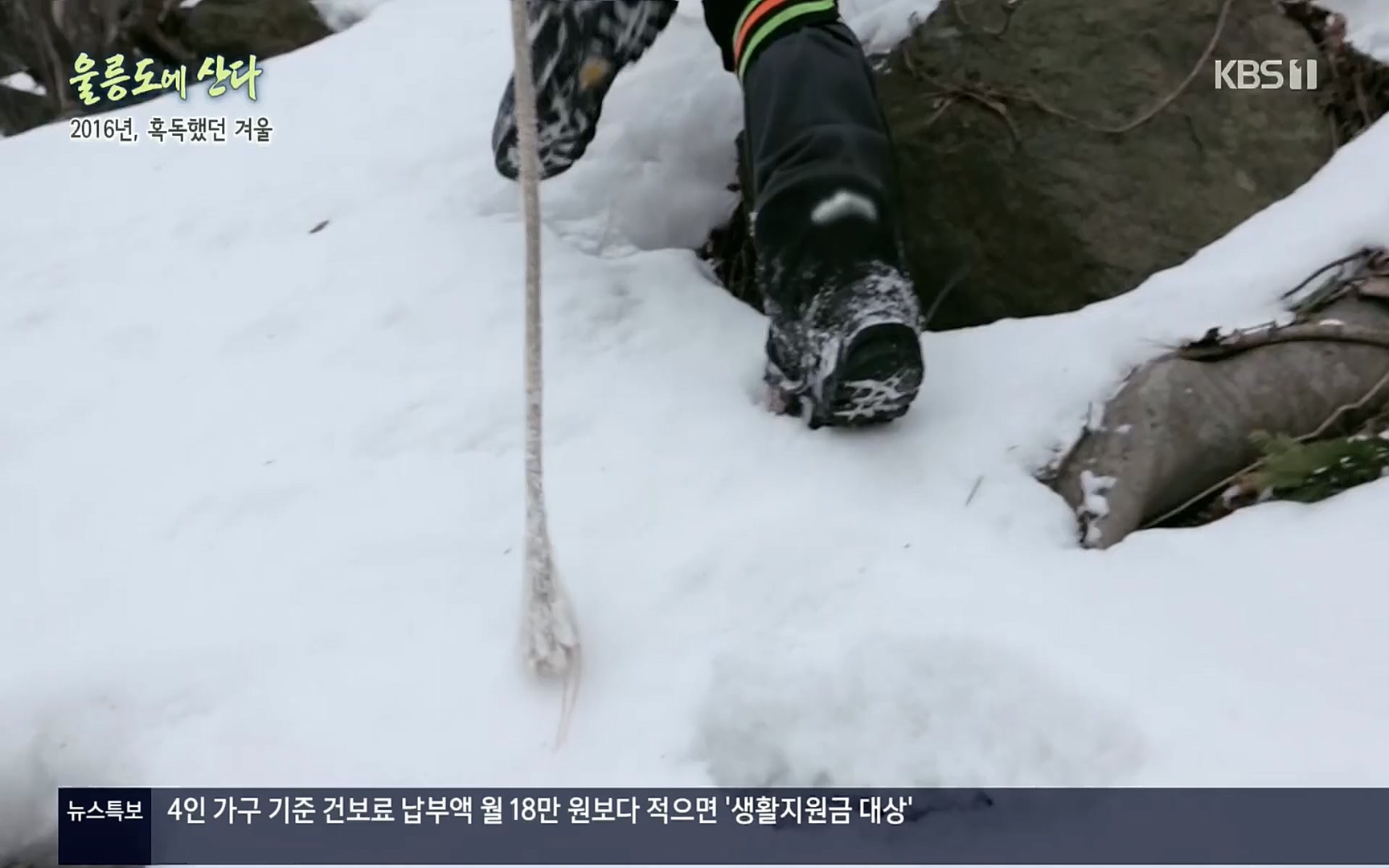 다큐울릉도에산다.E01.220909p.H264-F1RST.mp4_20220912_180549.168.jpg