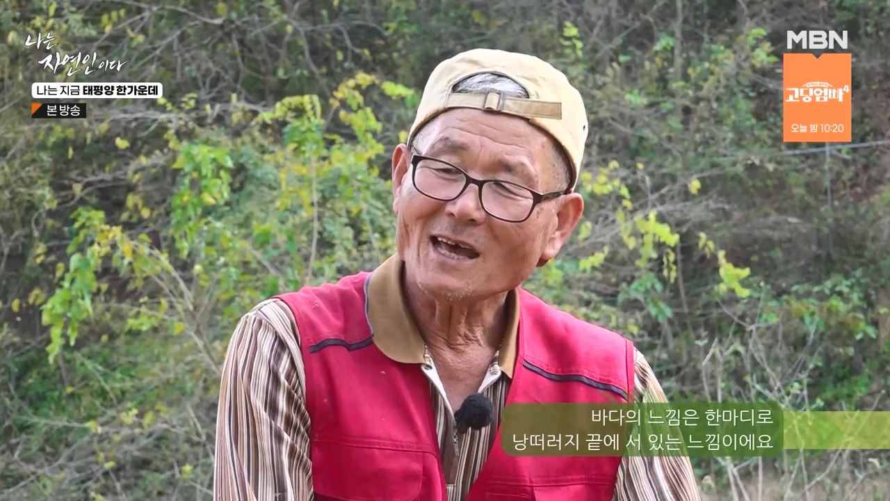 나는 자연인이다.E581.231123p-NEXT.mp4_20231123_200719.040.jpg