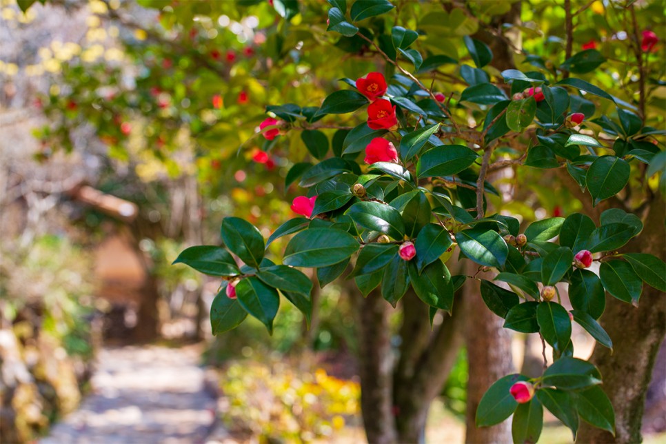 윤스테이 구례 구례 가볼만한곳 윤스테이 15