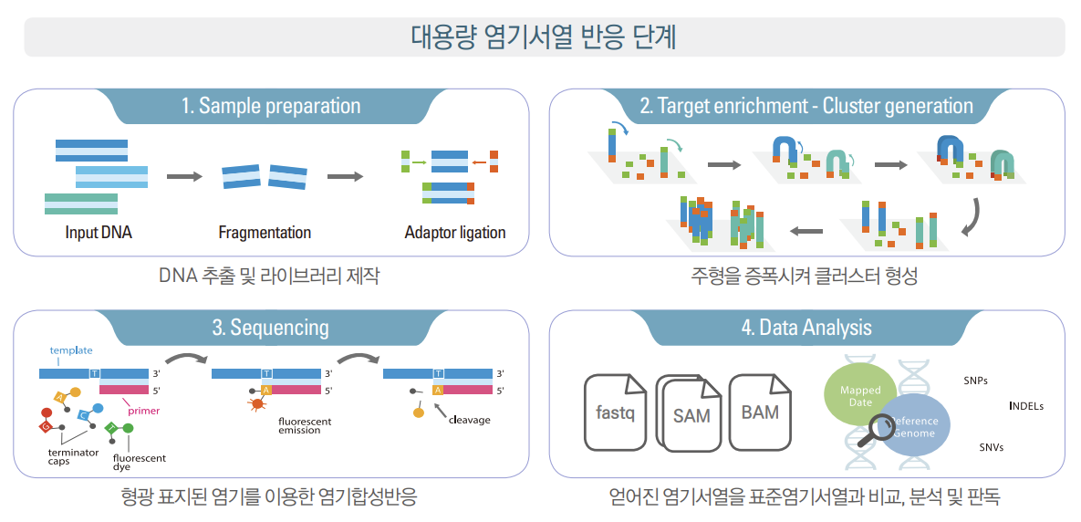 NGS 분석법