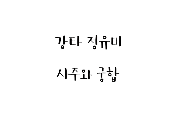  강타 정유미 사주와 궁합
