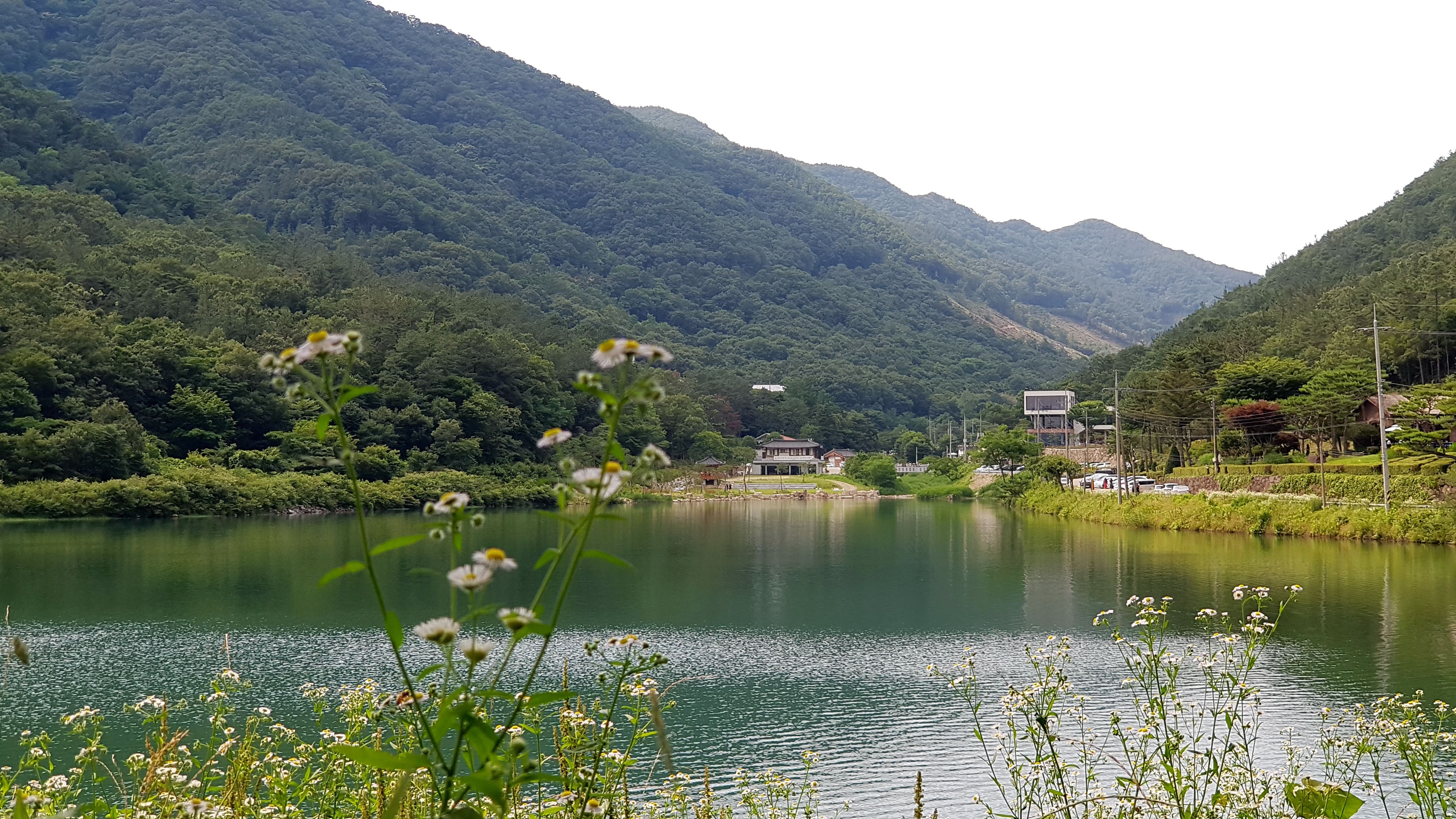 소양 오성제