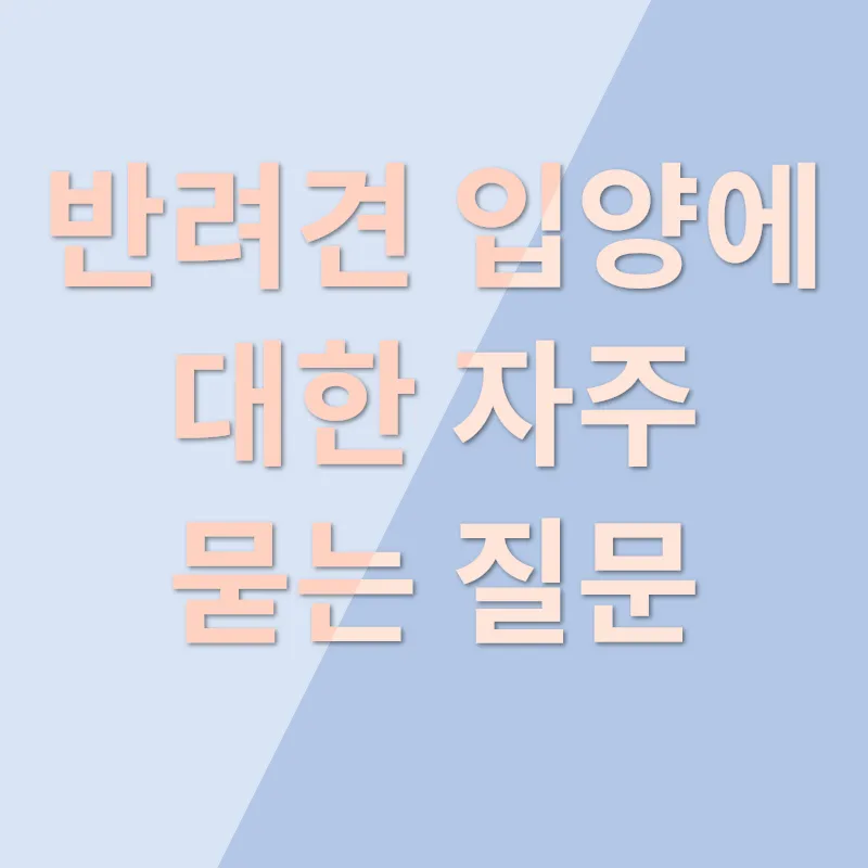 반려견 입양 고려하기_4