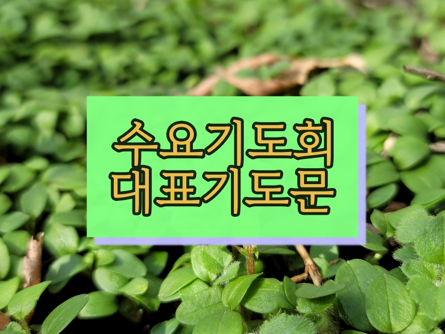  수요기도회 대표기도문