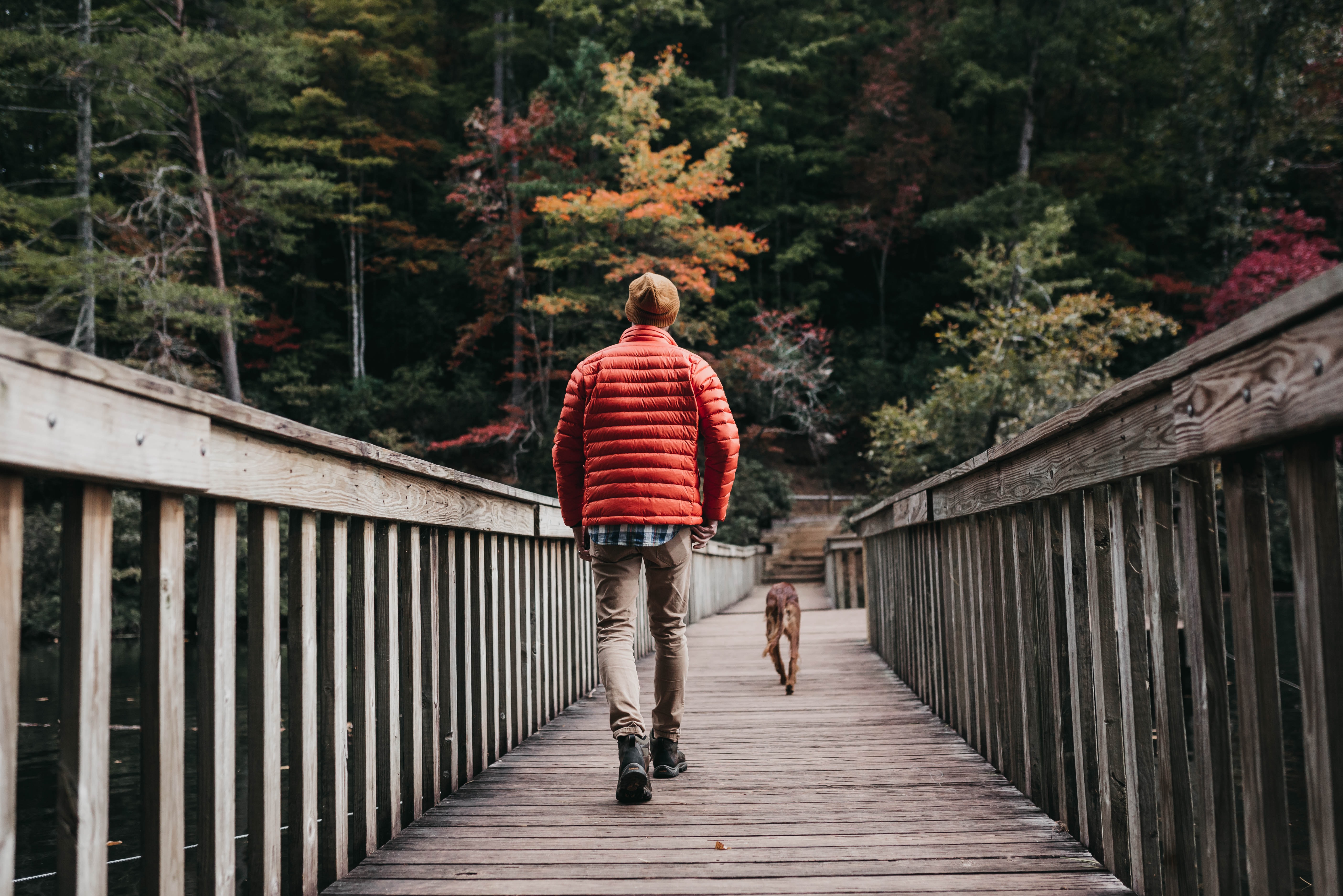  walking 걷기를 다른 영어로 알아보기 !