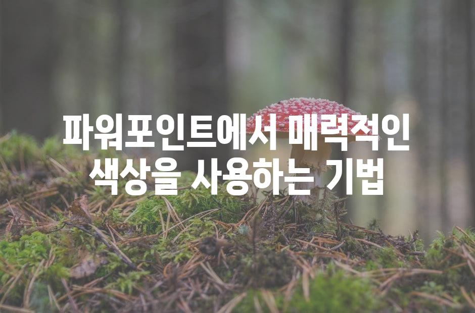 샘플 (42)