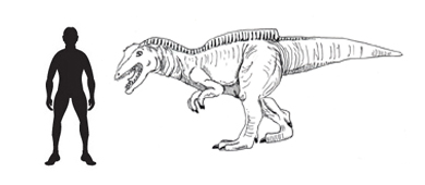 출처: https://blog.everythingdinosaur.com/blog/_archives/2009/02/21 ...