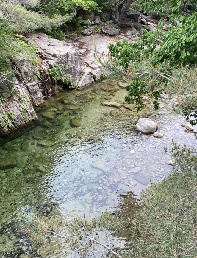 여름산으로 추천하는 괴산 칠보산(778m) 숲속을 거니는 듯 시원해 45