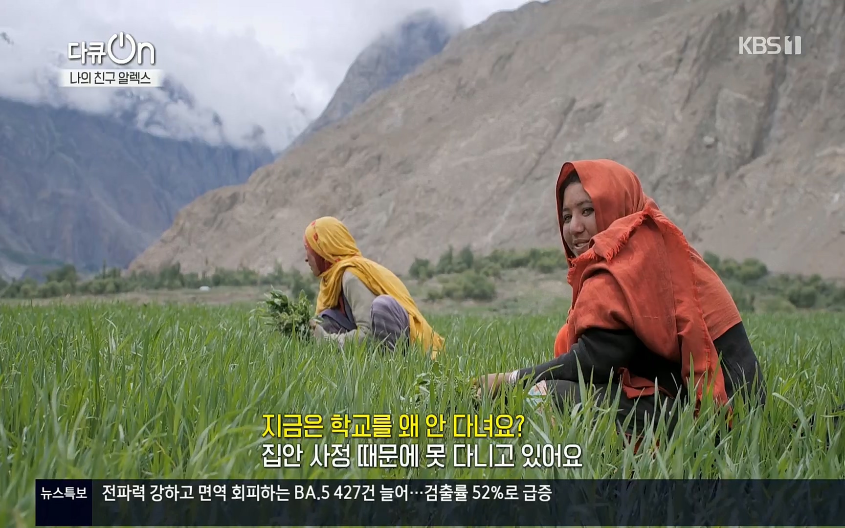 다큐 On.E149.220722p.H264-F1RST.mp4_20220723_160045.619.jpg