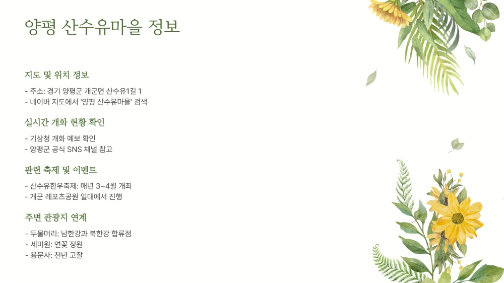 양평 산수유마을 축제 개화시기 및 주차장