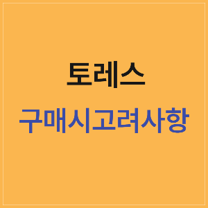 토레스의 특징과 단점, 새차 구매 시 유의해야 할 사항