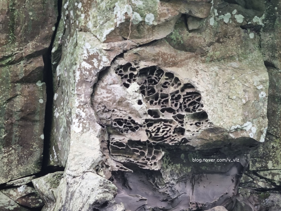 함께라면 전통테우 탑승 후기 제주 쇠소깍 어린 아이들과 32