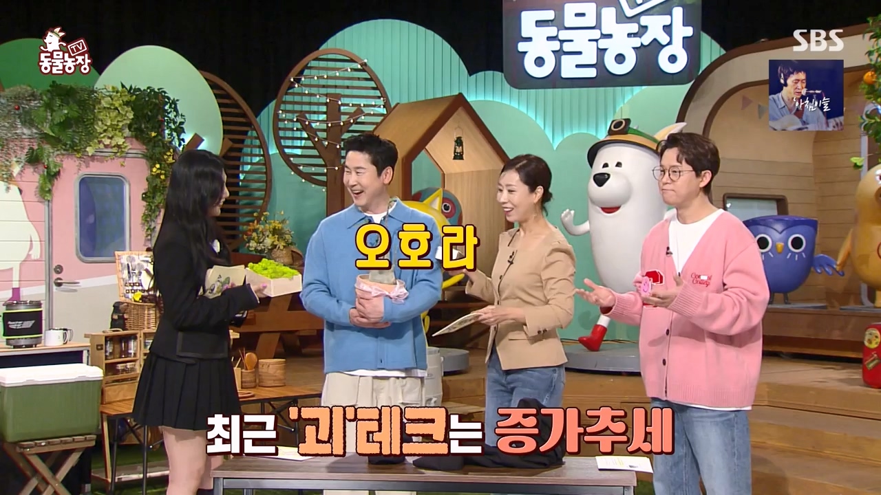TV 동물농장.E1168.240422p-NEXT.mp4_20240421_170929.676.jpg