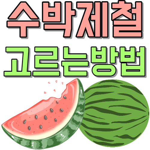  여름 제철 수박 완전 달달한 수박 고르는 방법 항산화 수박 축제