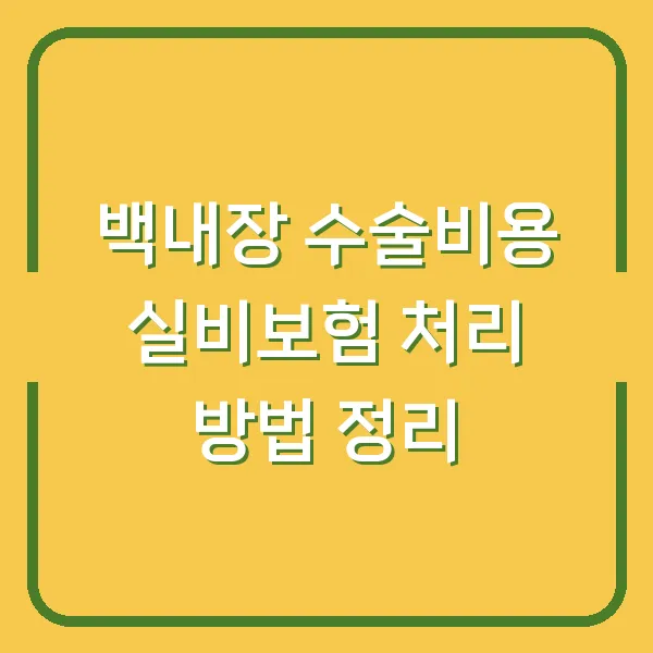 백내장 수술비용 실비보험 처리 방법 정리