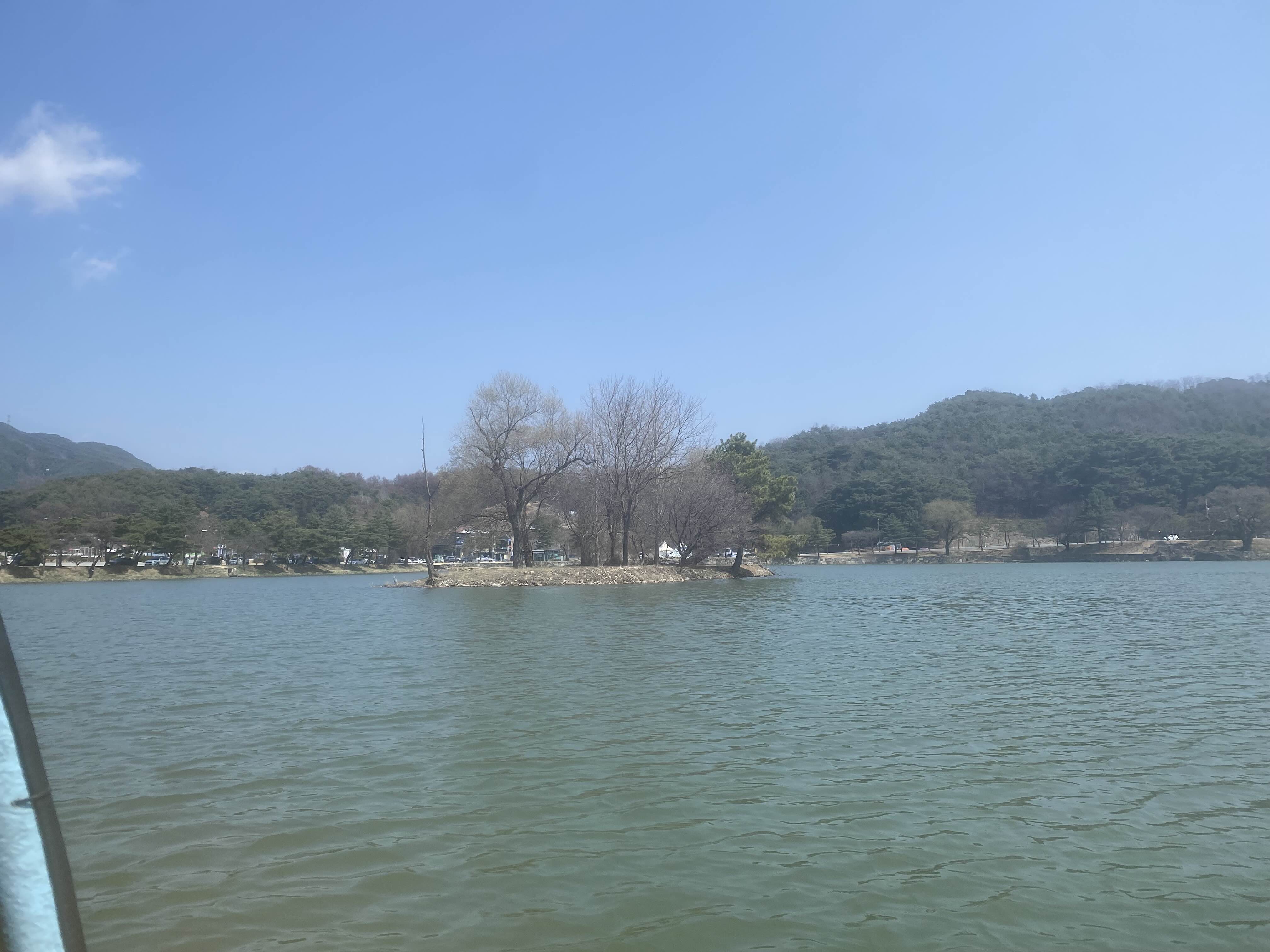 제천 의림지 오리배