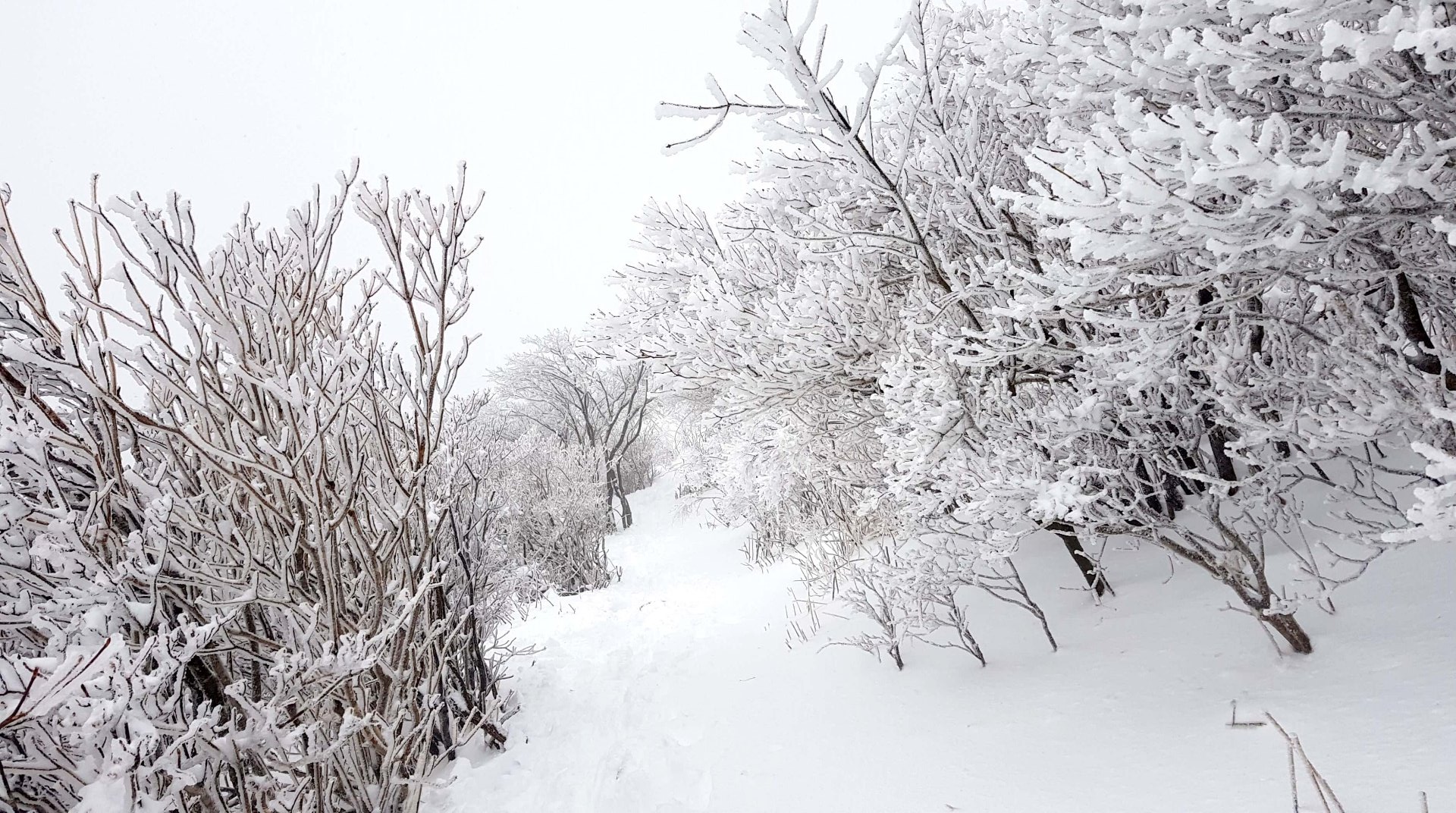 울산 가지산 설경
