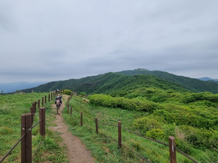 지리산IC 이미지