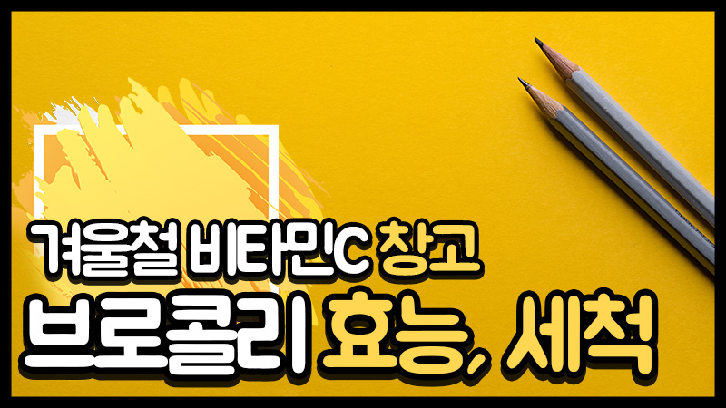  브로콜리 효능, 세척, 제철, 먹는 법 알아볼까요?